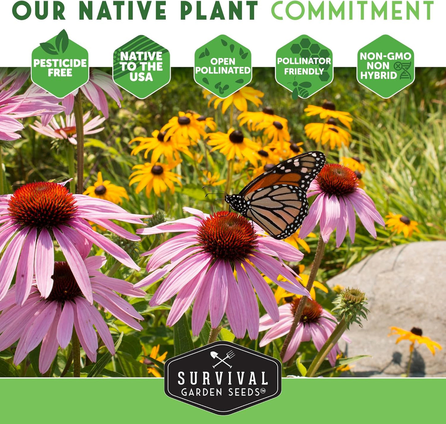 Survival Garden Seeds Blue Vervain Seeds - North American Native Wildflower | Butterfly Magnet - 1 Pack