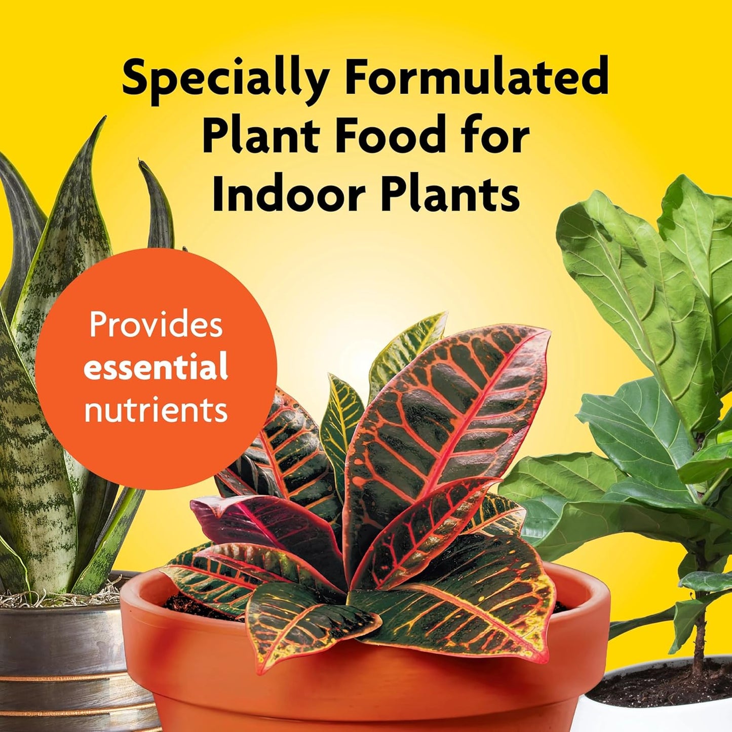 Miracle-Gro Indoor Potting Mix & Plant Food Bundle - 6 Qt Potting Mix + 8 Oz Fertilizer for Thriving Houseplants