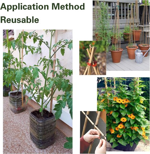 Bamboo Garden Stakes - 30pcs 4FT Multi-Purpose Plant Support for Tomatoes, Beans, and Flowers