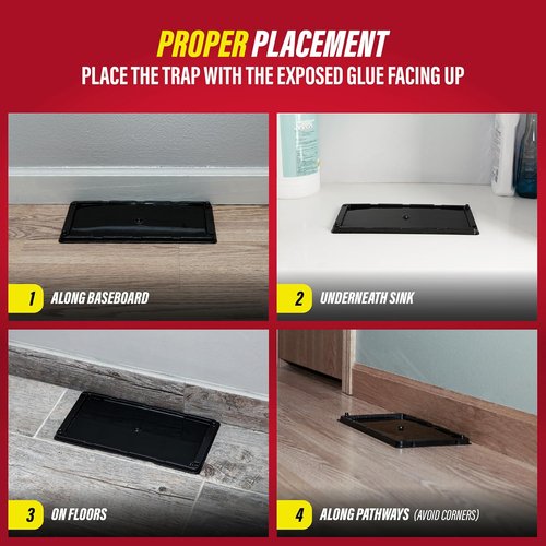 Catchmaster Rat, Snake & Mouse Traps - 10 Pack Large Bulk Adhesive Traps for Home Pest Control