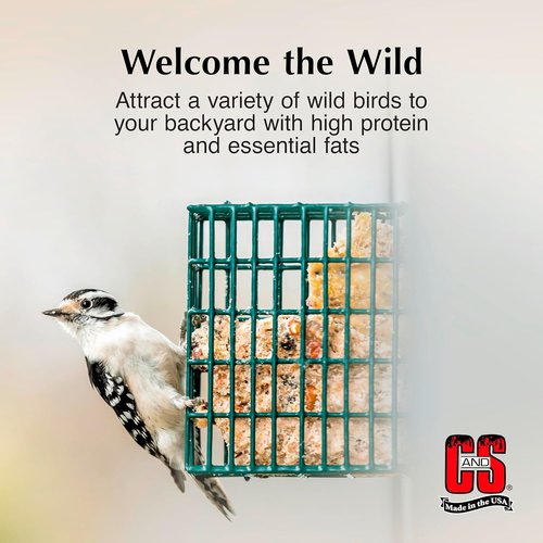 C&S Peanut Delight Suet Dough - No Melt Formula, 11.75 Ounces | 8 Pack for Wild Birds