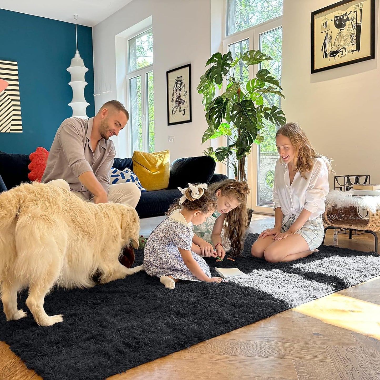 OLANLY Area Rugs - Soft Fluffy Shaggy Indoor Carpet for Living Room & Bedroom | 4x5.9 ft Black