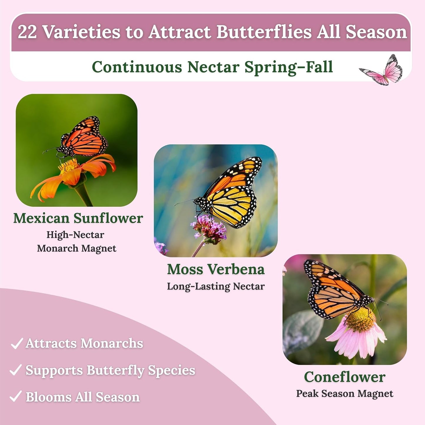 Wildflower Seeds for Bees & Butterflies - 22 Variety Pollinator Mix - 160,000+ Seeds in 4 oz Blend