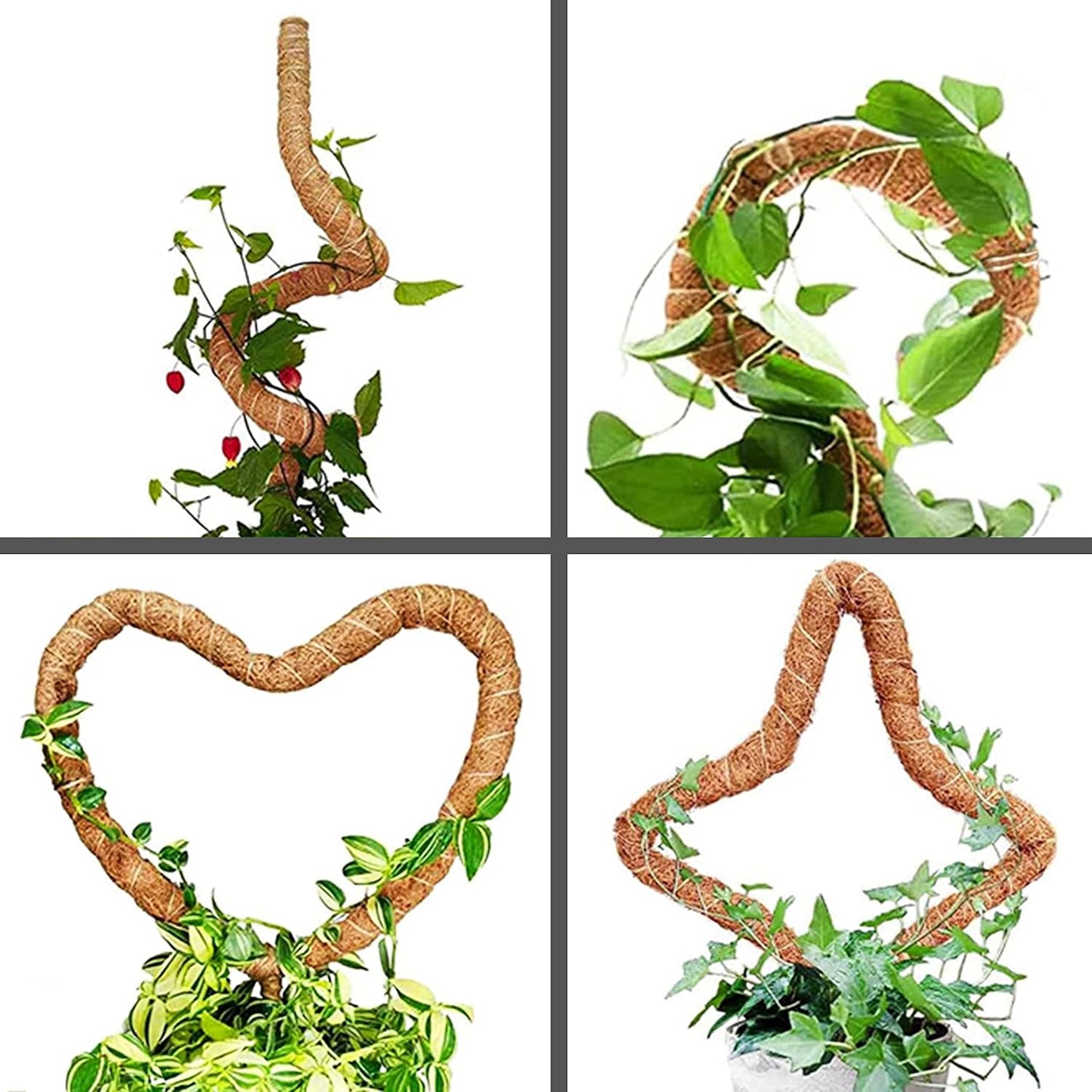 Skiennix 25-Inch Bendable Moss Pole - Handmade Coco Coir Support for Climbing Plants