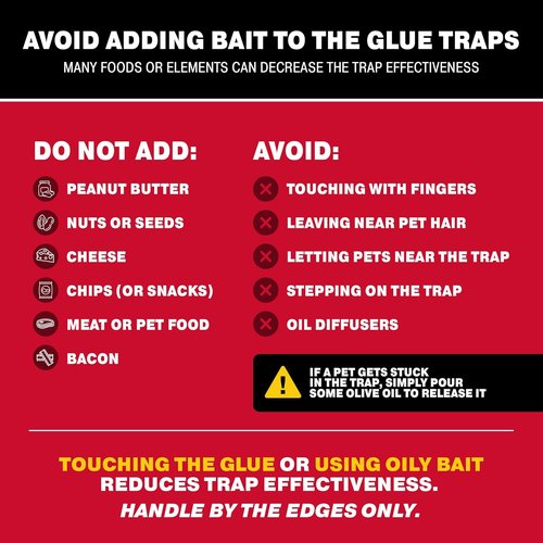 Catchmaster Max-Catch Mouse & Insect Glue Traps - 36 Pack Indoor Sticky Pest Control Boards