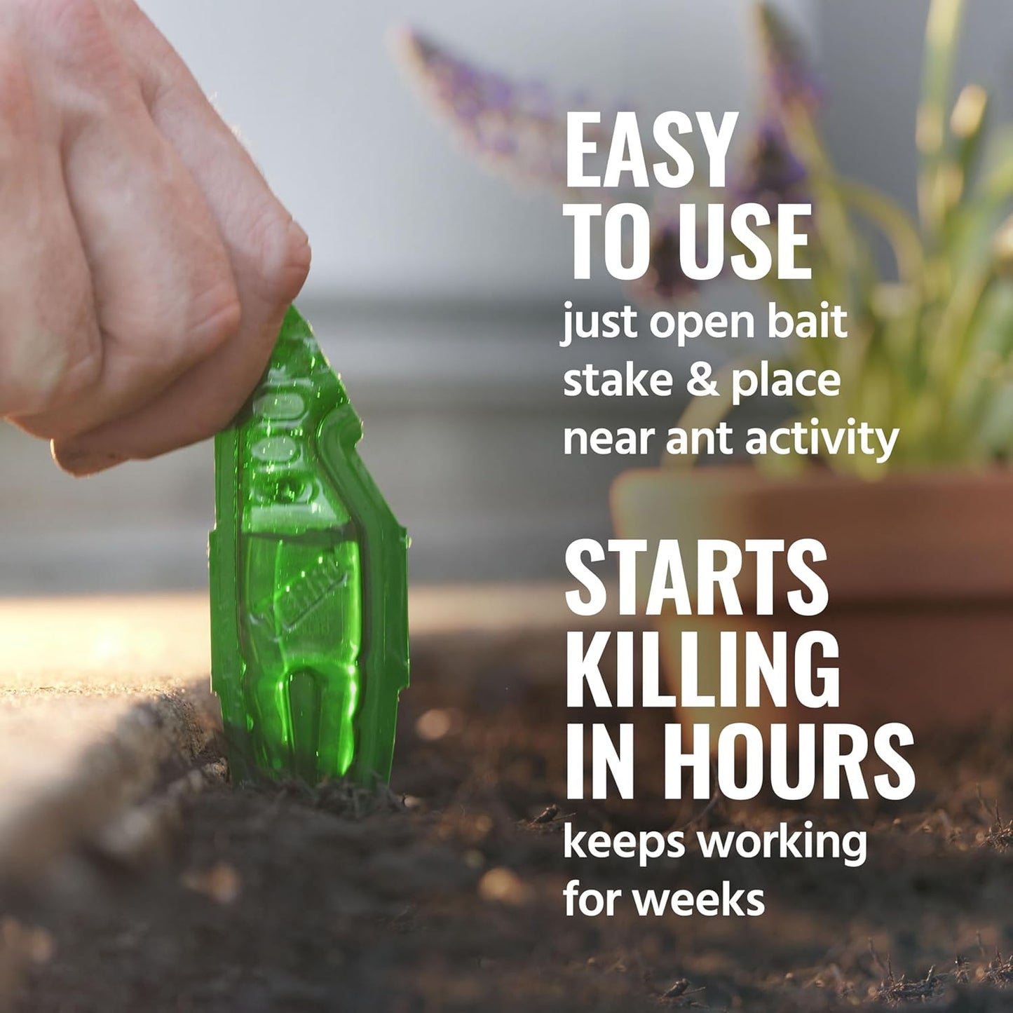 TERRO Liquid Ant Baits - Ready-to-Use Ant Traps for Outdoor Use | Kills Household Ants, 12 Stakes
