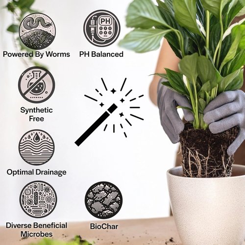 Craft Organic Potting Mix - Elite Houseplant Soil for Indoor Plants | Chunky, Well-Draining, 8QT