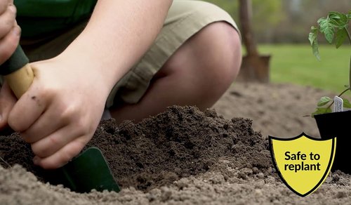 Compare-N-Save Glyphosate Concentrate - Effective Grass & Weed Killer Herbicide | 32 Ounce