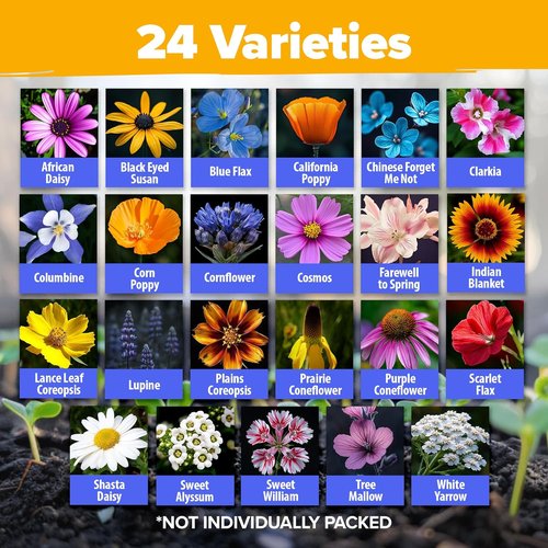 Home Grown Wildflower Seeds Mix - 90,000+ Non-GMO Perennial Seeds for Butterflies & Pollinators | 3oz, 24 Varieties