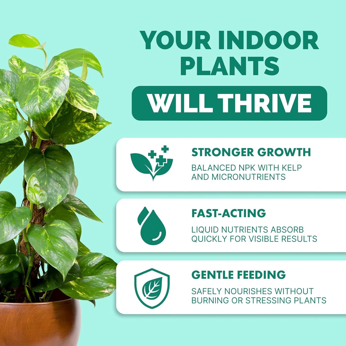 Skiennix Indoor Plant Food - Liquid Fertilizer for Vibrant Growth & Strong Roots | 1 Gallon