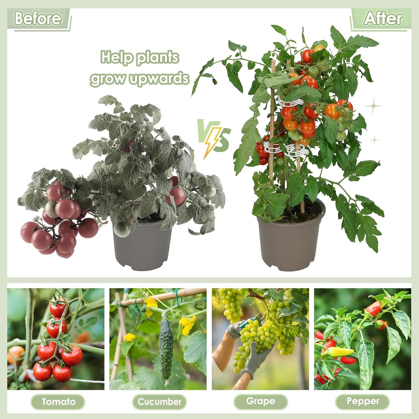 Plant Support Clips | 200 PCS Reusable Tomato Clips for Climbing Plants - Secure Garden Trellis Fixing