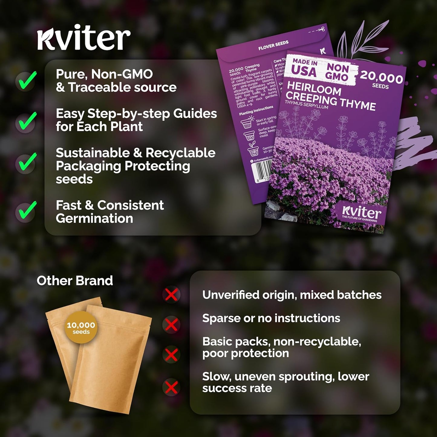 KVITER 20,000 Creeping Thyme Seeds - Aromatic Ground Cover & Purple Perennial Flower Seeds for Gardens