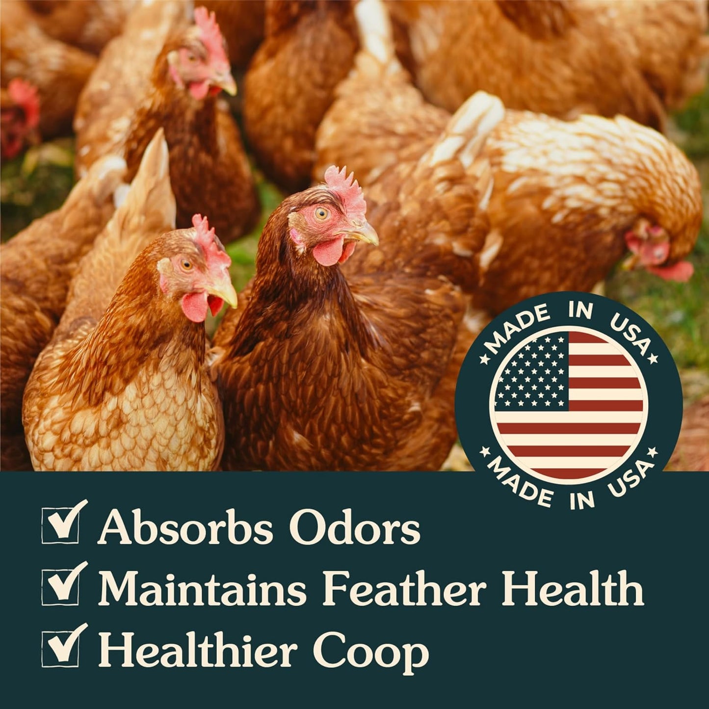 Zeolite Chicken Dust Bath - All-Natural Finely Milled Dust in 12 lb Kraft Box | Made in The USA