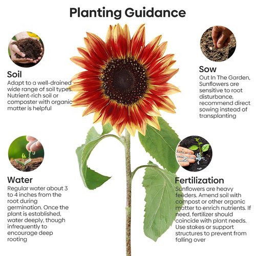 Groundio Sunflower Seeds - 15+ Varieties for Planting | 1 Oz Pack of 300+ Colorful Seeds for Garden