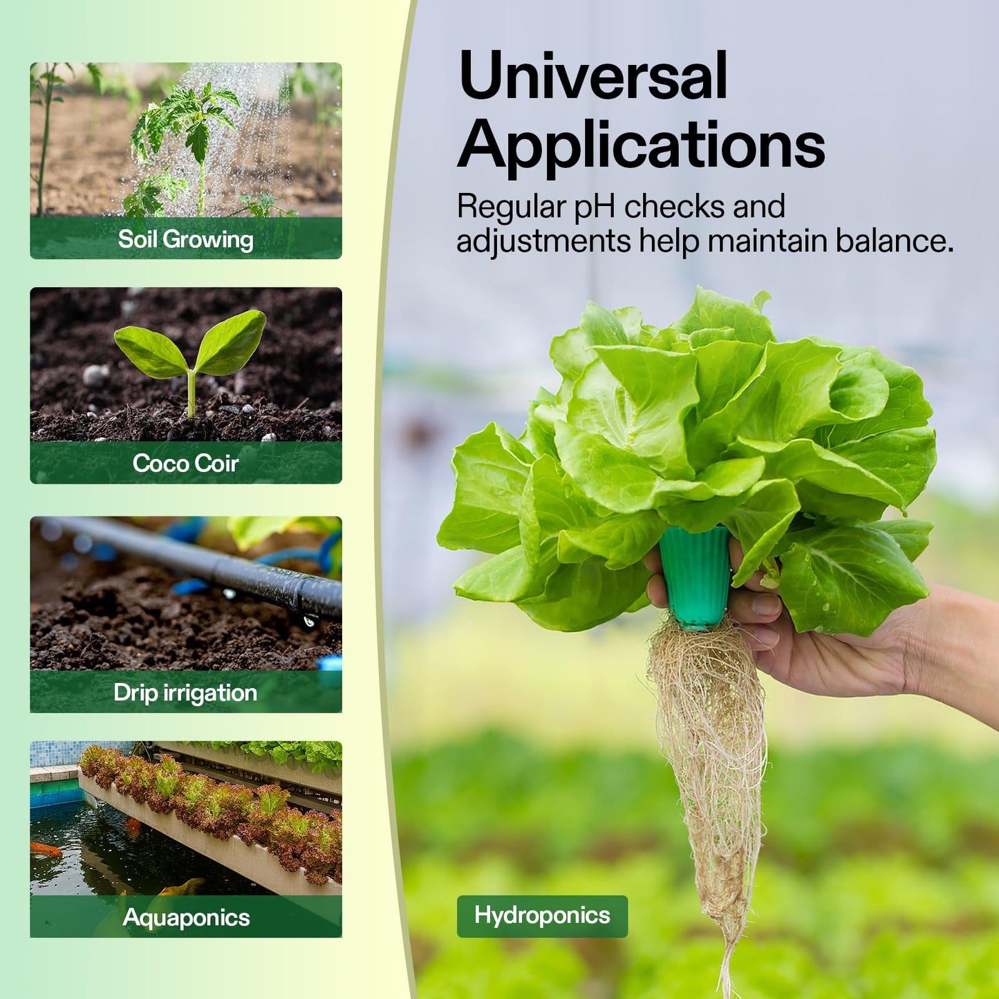 VIVOSUN pH Up & pH Down Kit, 1 Quart Each, pH Control Kit for Balanced pH Level and Optimal Nutrient Uptake, pH Adjuster Liquid Fertilizer for All Plants and All Growing Systems