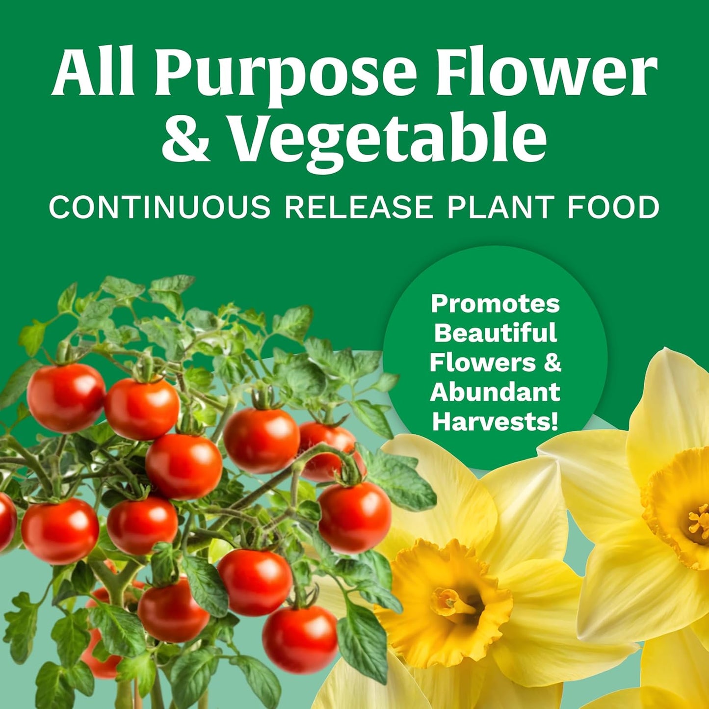 Scotts All-Purpose Plant Food - Continuous Release Formula for Outdoor Flowers & Vegetables | 3 lb