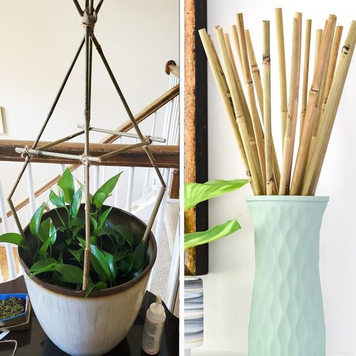 Bamboo Garden Stakes by [Brand Name] - 50 Pcs Natural 16-Inch Plant Support Poles for Indoor/Outdoor Use