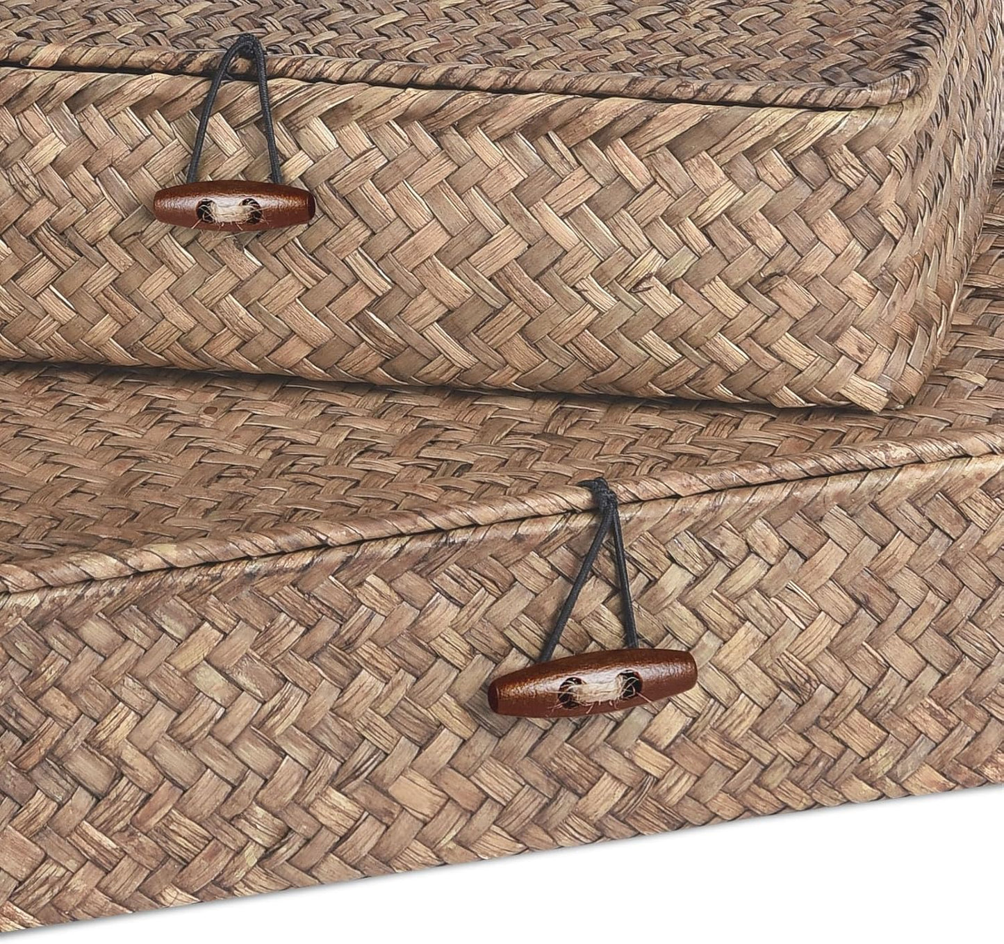 Skiennix Set of 2 Flat Seagrass Storage Bins - Woven Baskets with Lids for Home & Office Organization | Coffee Color