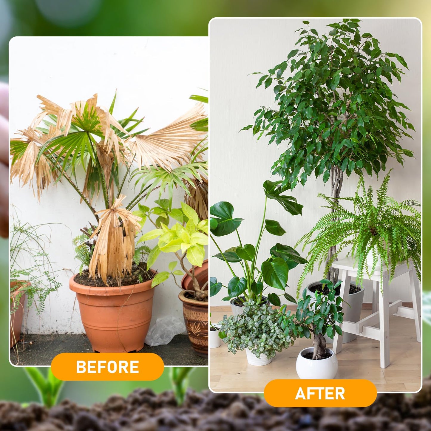 Skiennix Soil Activator - Organic Liquid Fertilizer for Indoor & Outdoor Plants | 2 Pcs Set