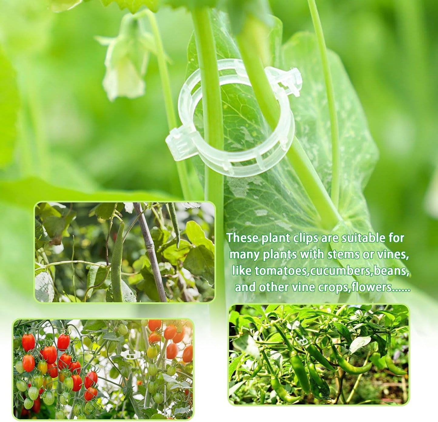 Pynqdfu Plant Support Clips - 400 Pcs Plastic Tomato & Vine Clips for Indoor/Outdoor Gardening (White)