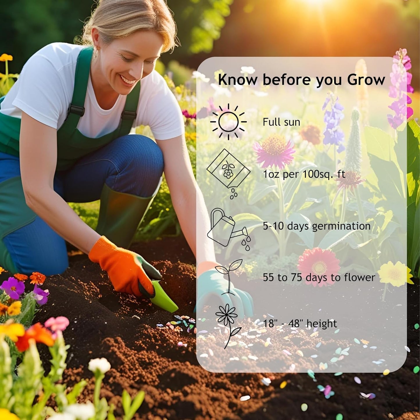 Wildflower Seeds Bulk - 40,000+ Non-GMO Butterfly & Hummingbird Mix | 1 Oz. Pollinator Flower Seeds