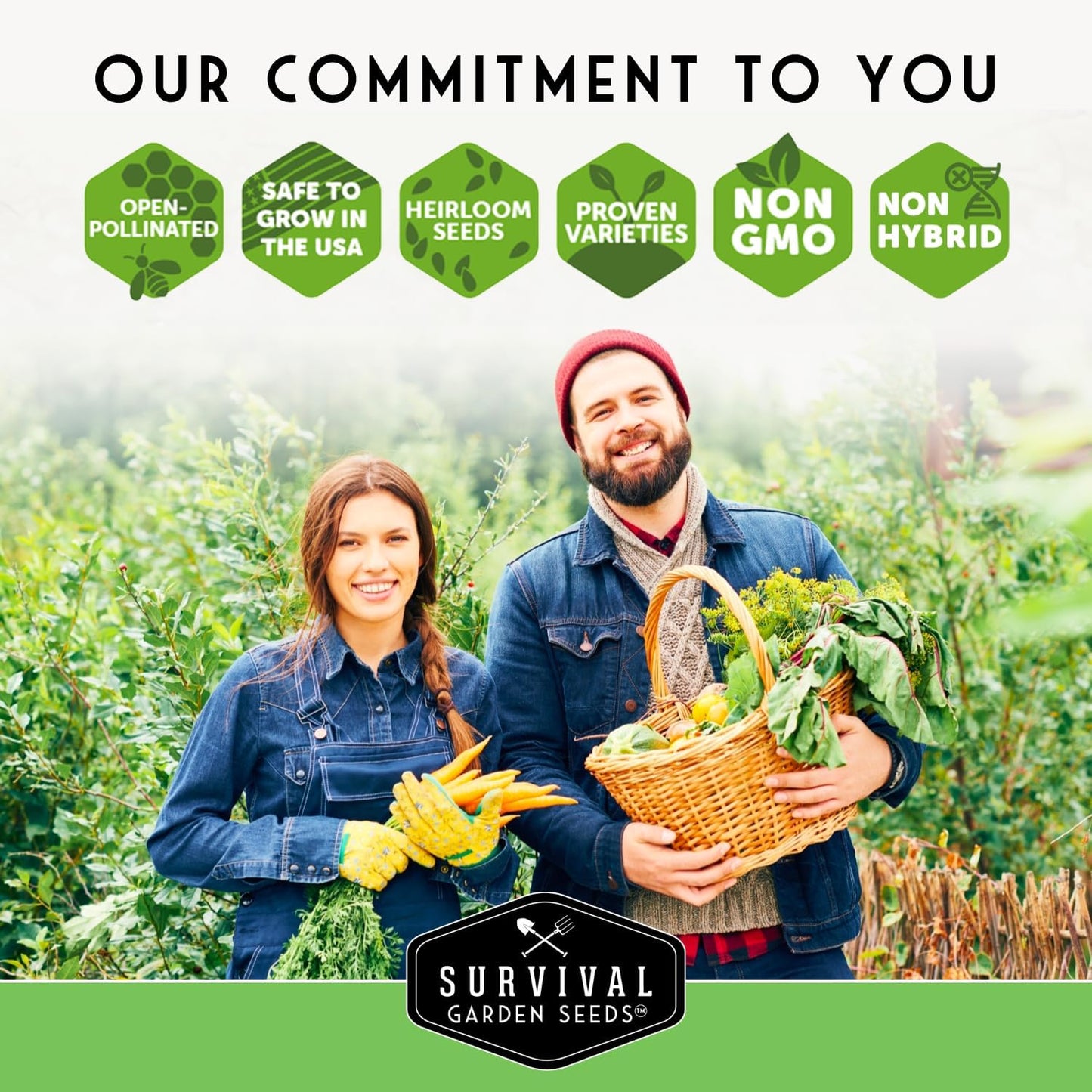 Survival Garden Seeds - Zucchini & Squash Collection | Non-GMO Heirloom Seeds Assortment