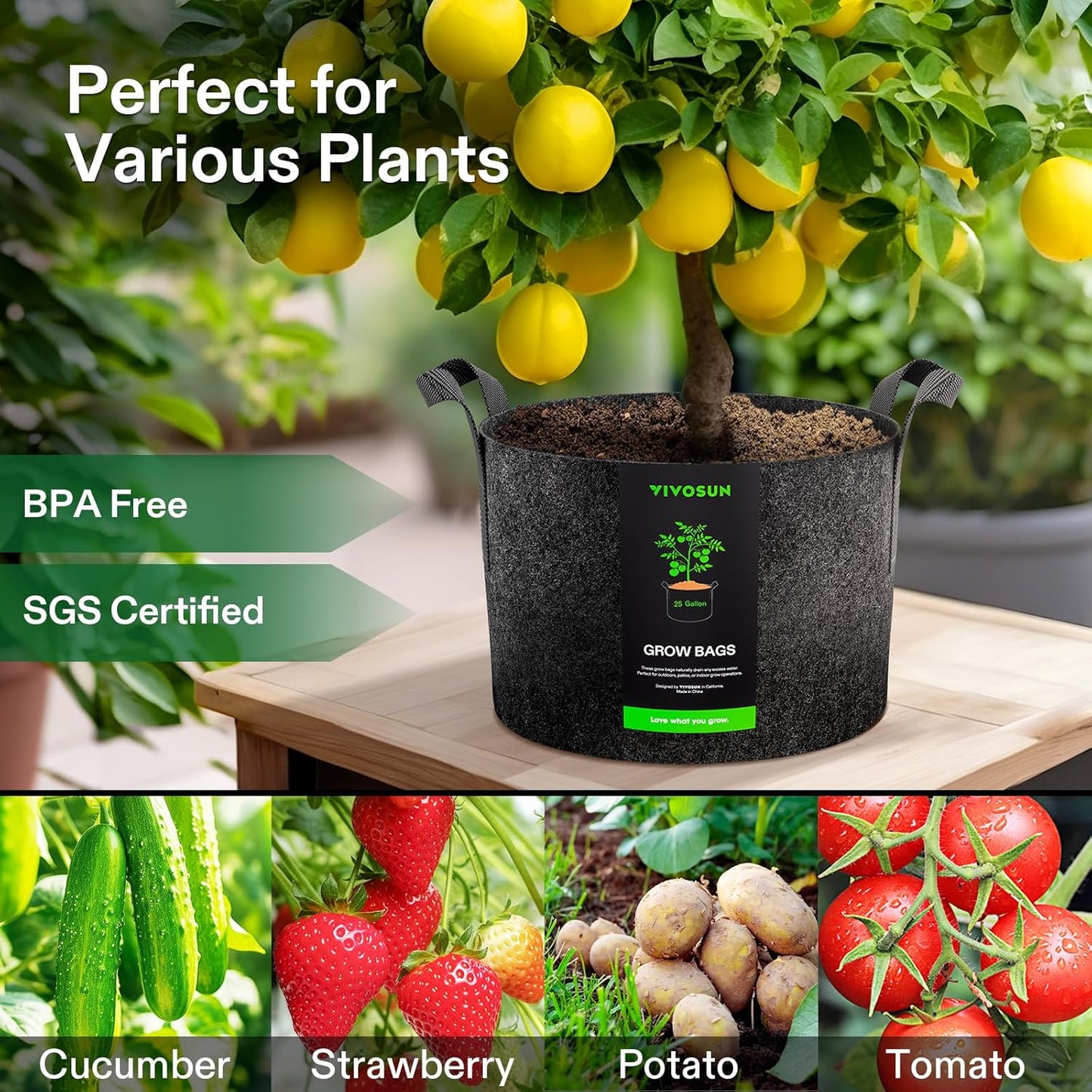 VIVOSUN 25 Gallon Grow Bags - Reinforced Fabric Planter Pots for Gardening | 10-Pack, Black