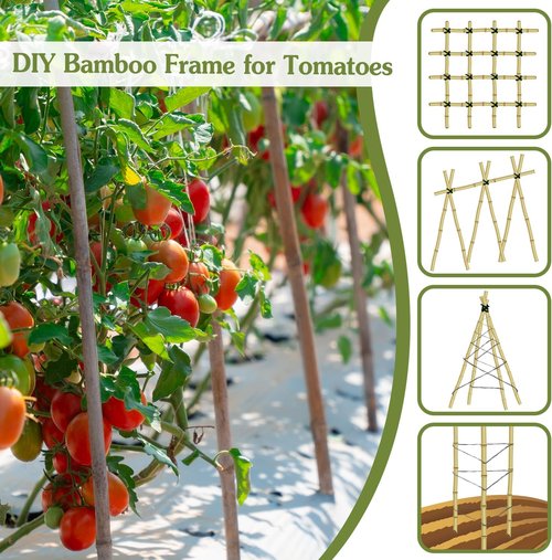 HAINANSTRY 3FT Bamboo Plant Stakes - 25Pcs Sturdy Support for Indoor/Outdoor Climbing Plants