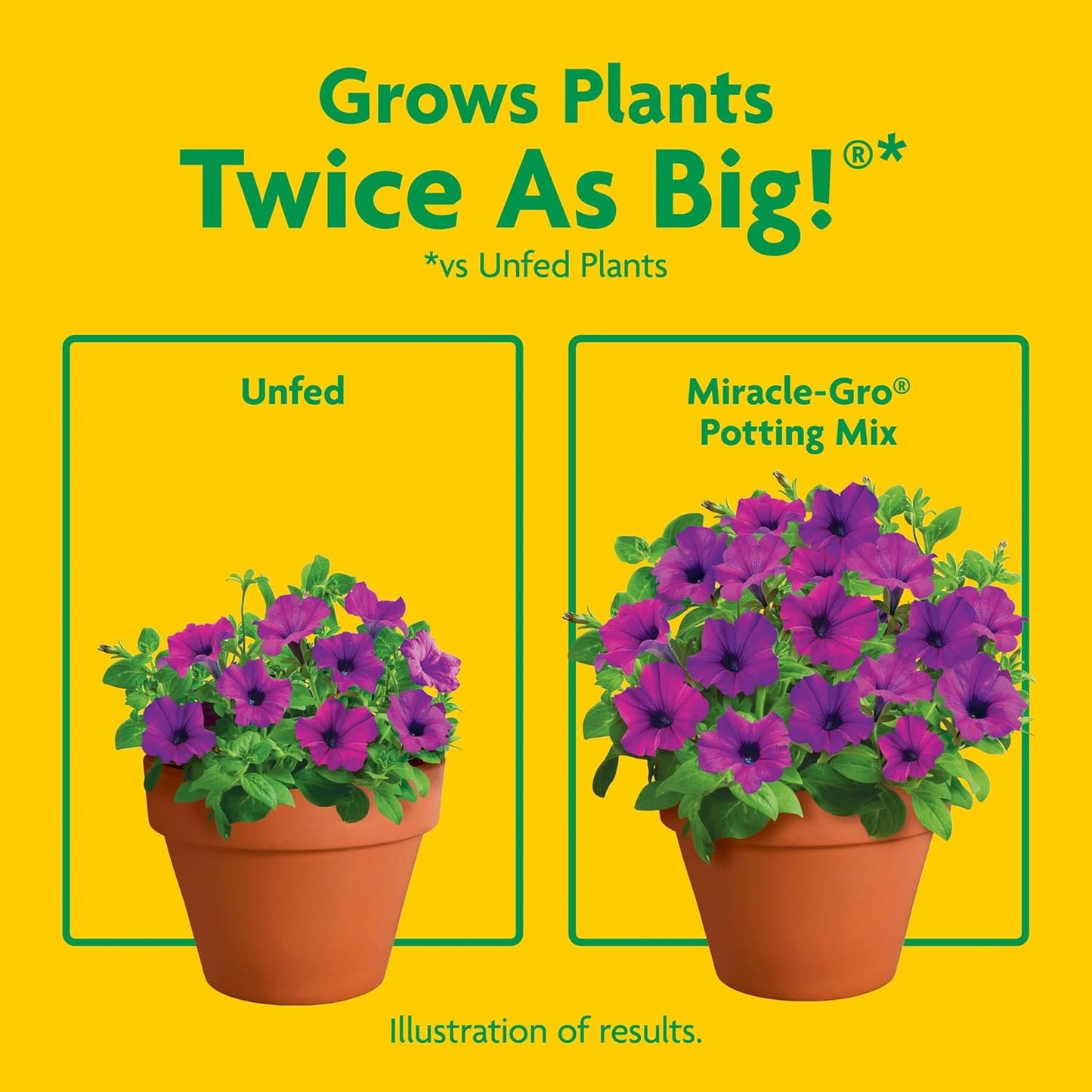 Miracle-Gro Potting Mix - Premium Soil for Container Plants & Flowers | Feeds for 6 Months, 16 qt (2-Pack)