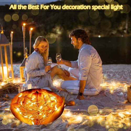 Hortsun 100 Packs Fairy Lights Battery Operated 3 Speed Modes, 7 Ft/ 2 M 20 LED Battery String Mini Waterproof Wire Twinkle Lights Bulk for Wedding Party Birthday Vases Decor (Warm White)