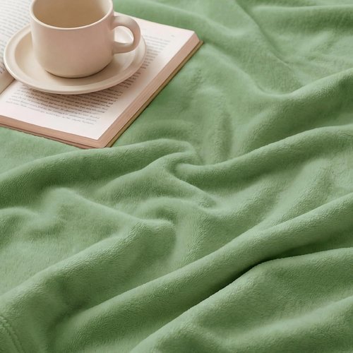 Bedsure GentleSoft Fleece Blanket - Plush Cozy Twin Size Green 300GSM for Bed, Sofa, Travel | 60x80 Inches