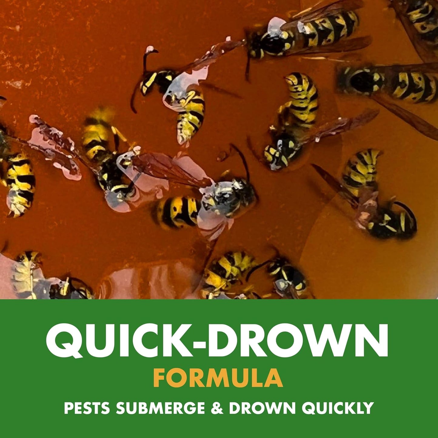 Spectracide Wasp & Hornet Trap - Quick-Drown Formula for Effective Insect Control | 1 Count