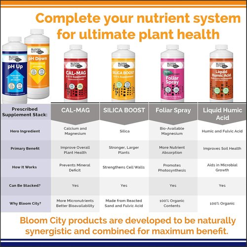 Bloom City pH Control Kit - Professional pH Up & Down for Optimal Nutrient Uptake | Two 1/2 Pint Bottles (16 oz)