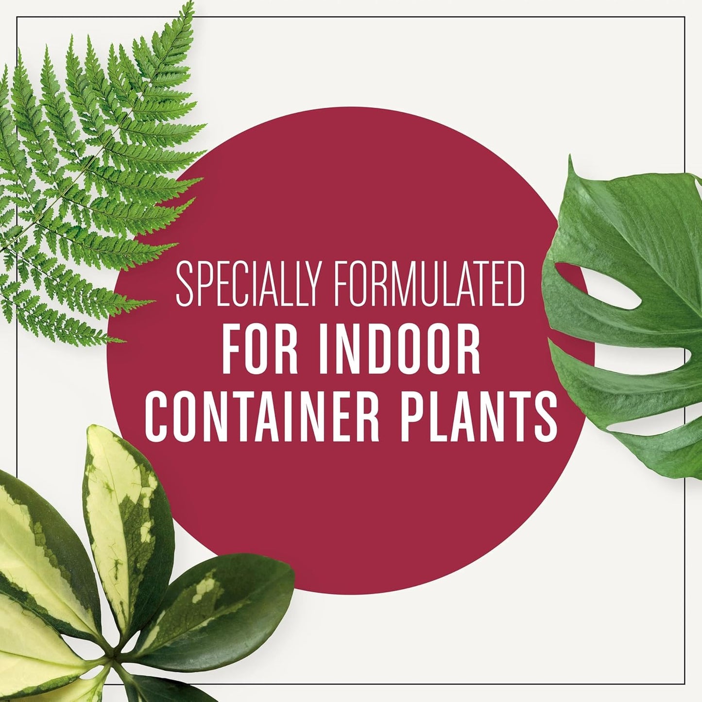 Miracle-Gro Houseplant Potting Mix - Fertilized Indoor Soil for Containers | Less Gnats, 4 Qt