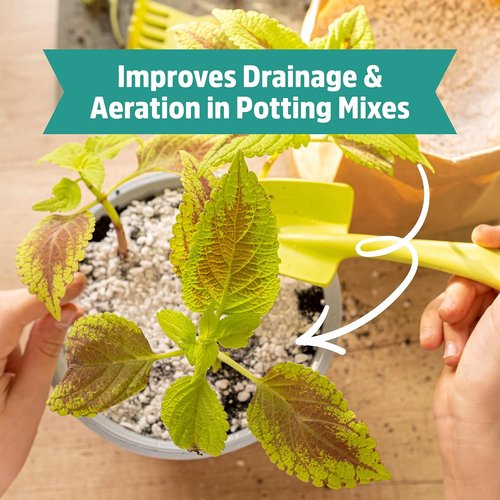 Back to The Roots 100% Organic Perlite - Premium Plant Nutrition for Indoor & Outdoor Use