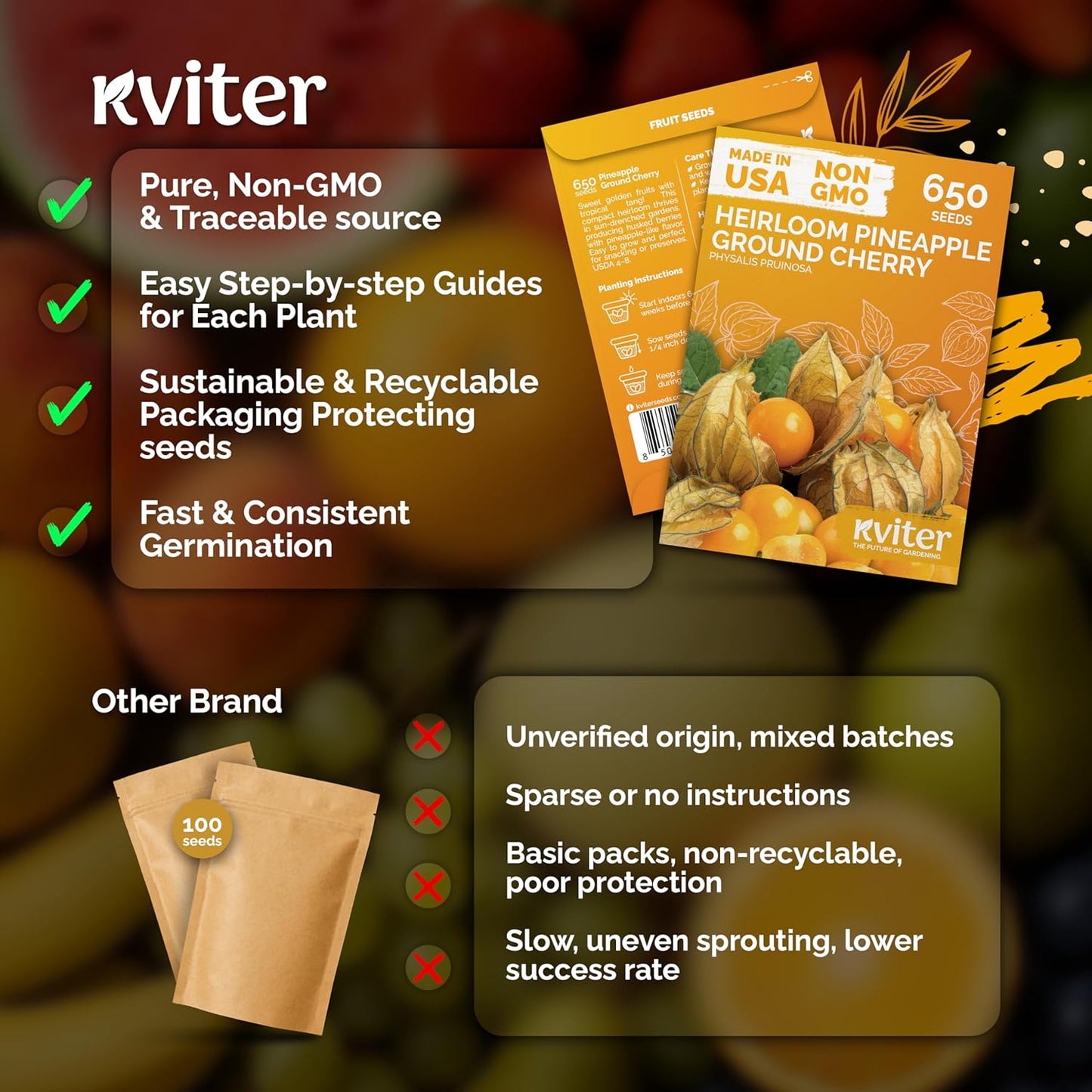 KVITER 650 Aunt Molly Ground Cherry Seeds - Non-GMO Heirloom Organic Fruit Seeds for Planting | Tropical Flavor Berries