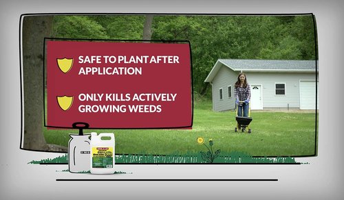 Compare-N-Save Glyphosate Concentrate - Effective Grass & Weed Killer Herbicide | 32 Ounce