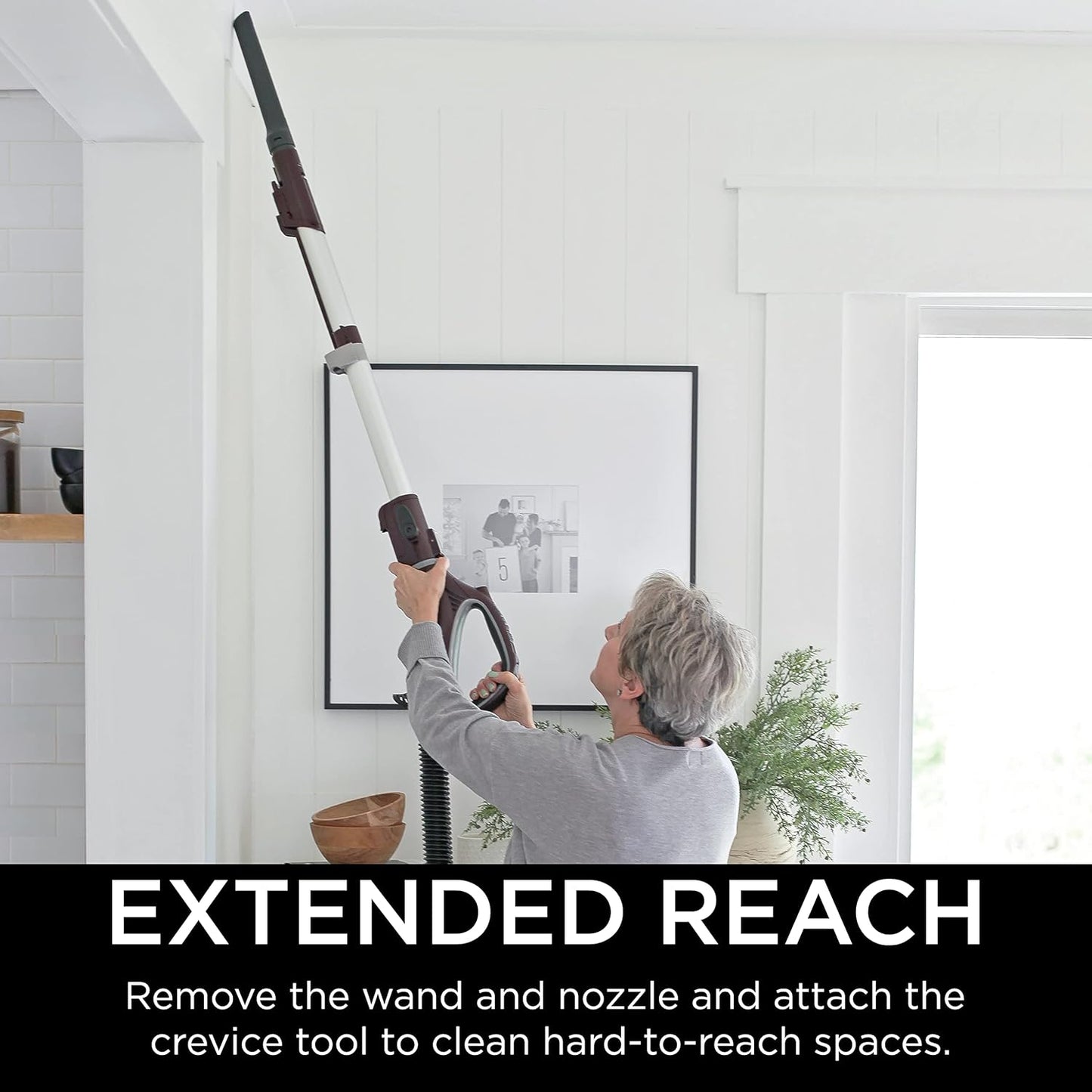 Shark NV752 Rotator Vacuum - Powered Lift-Away with HEPA Filter, Large Dust Cup & LED Headlights | Bordeaux