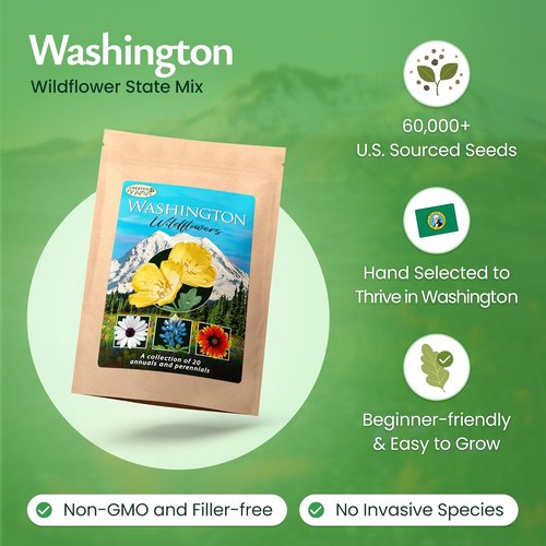 Created By Nature Wildflower Seed Mix - 20 Flower Varieties | 60,000+ Seeds for Vibrant Gardens