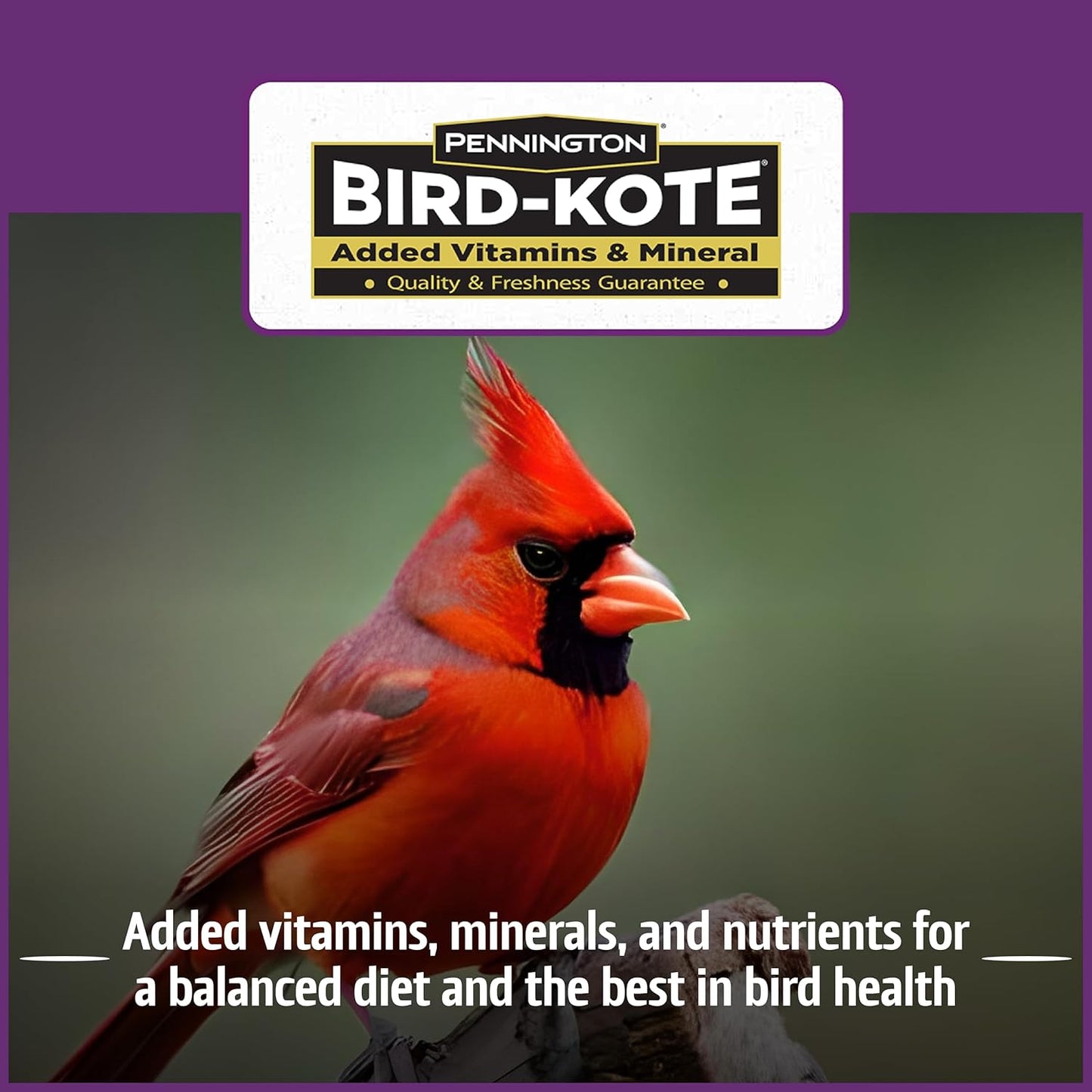 Pennington Pride Songbird Nut & Fruit Blend - Advanced Nutrition Wild Bird Seed, 10 lb Bag