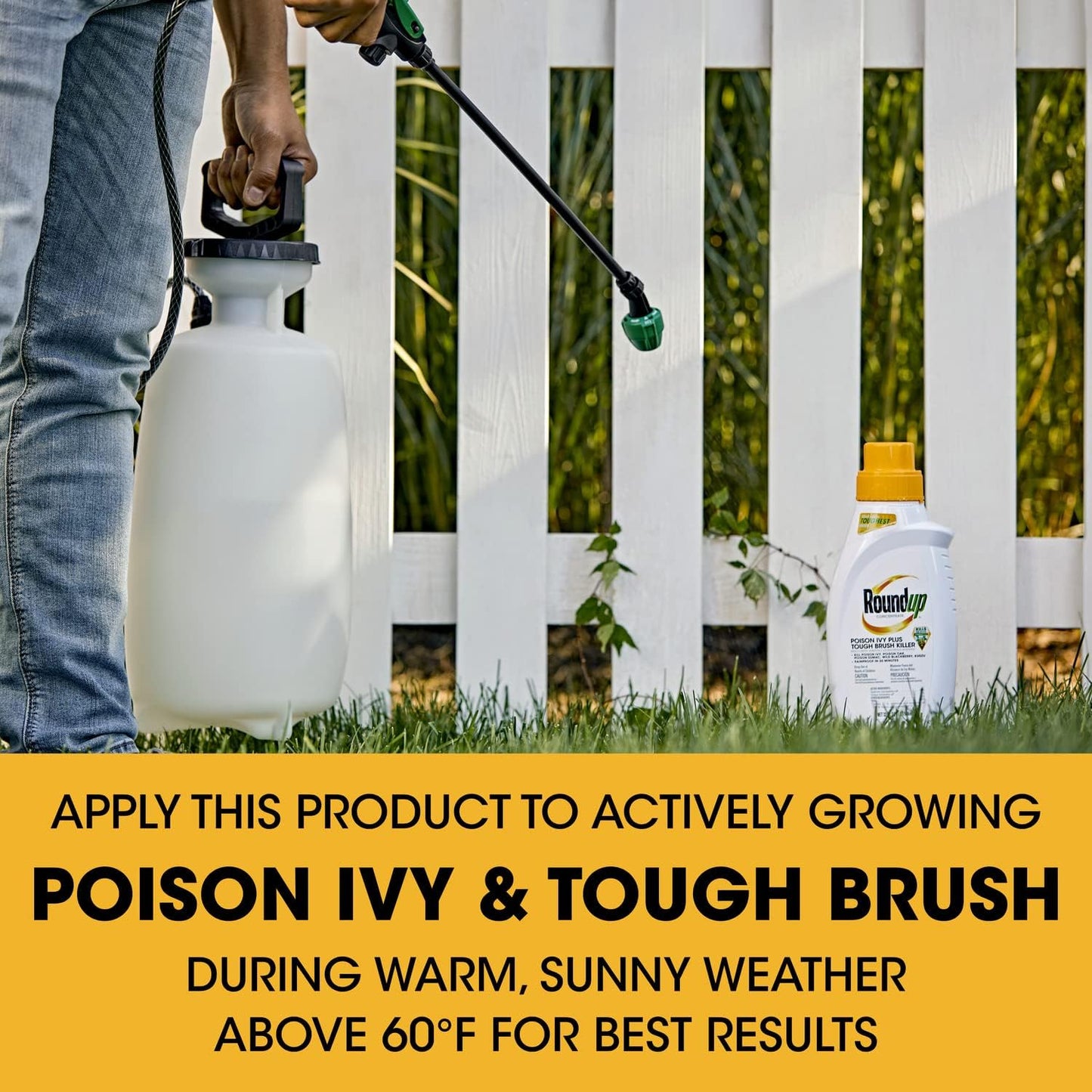 Roundup Concentrate Poison Ivy Killer - Fast-Acting Weed & Brush Control, 32 oz.