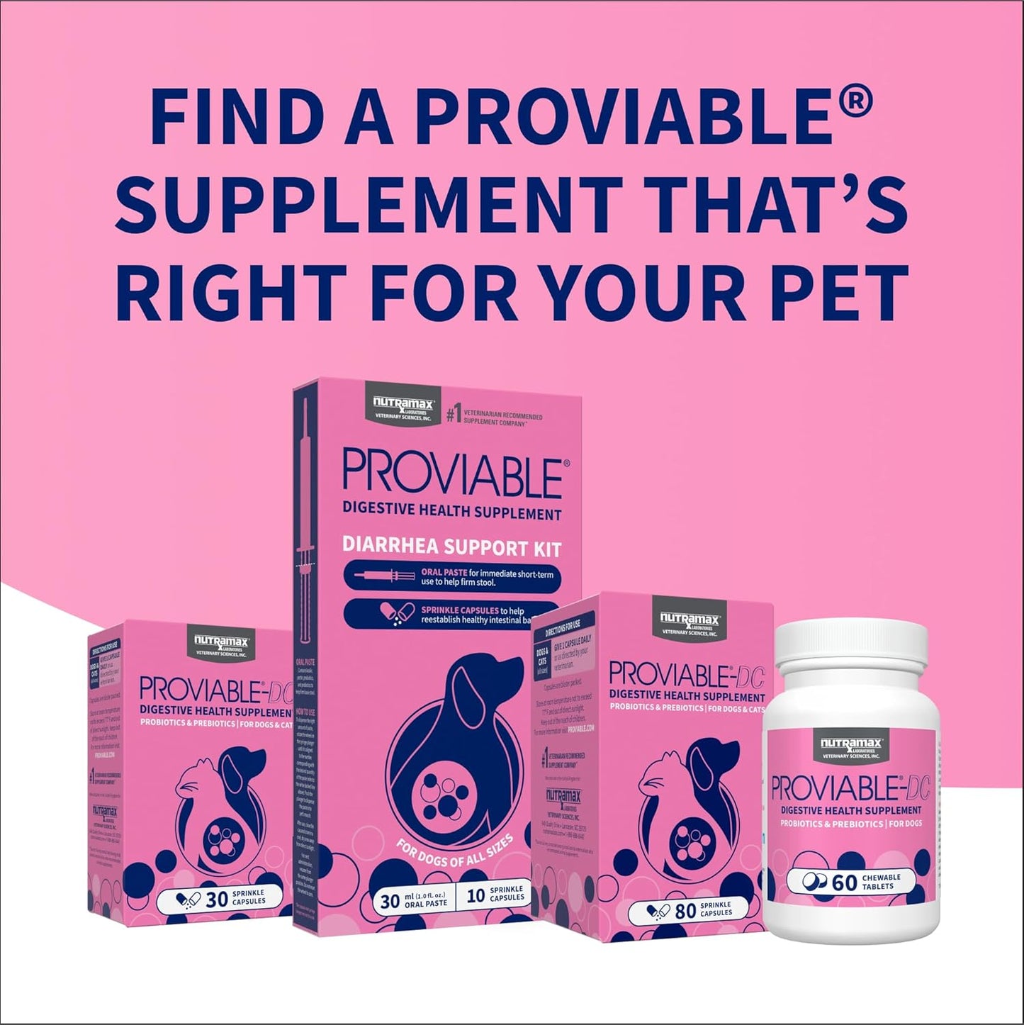 Nutramax Proviable Probiotics for Dogs & Cats - Daily Digestive Health Supplement with Prebiotics | 30 Capsules