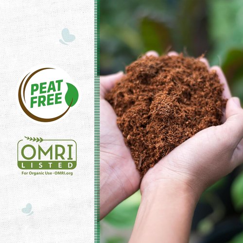Back to The Roots Organic Coir - 51 Quart Expanding Soil for Seeds & Potting Success