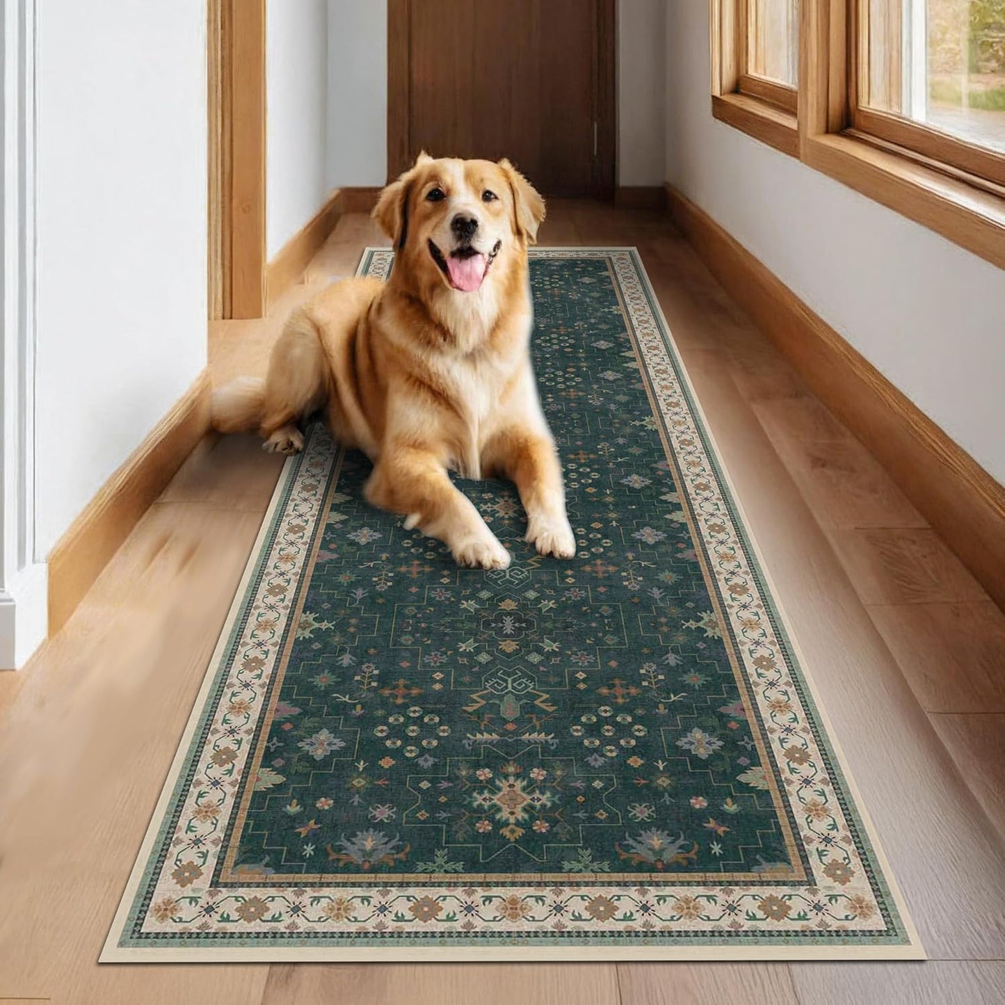 Regine Switzerland Dark Green Washable Runner Rug - Non-Skid 2'6"x10' for Hallway & Entryway