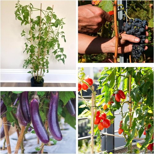 HAINANSTRY 3FT Bamboo Plant Stakes - 25Pcs Sturdy Support for Indoor/Outdoor Climbing Plants