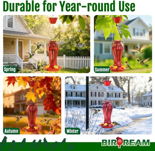 Birdream Hummingbird Feeder - 18oz Glass Design with 5 Feeding Ports & Ant Moat | Red Garden Decor
