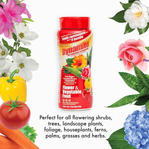 Dynamite Complete Plant Food - Premium Flower & Vegetable Nutrients | 1 lb Bag