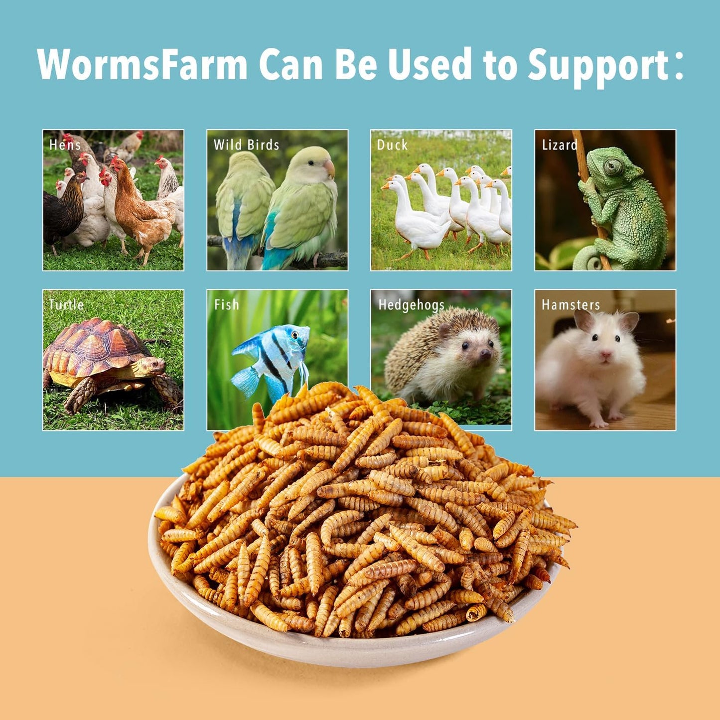 WormsFarm Dried Black Soldier Fly Larvae Treat - High Calcium for Chickens & Wild Birds | 5LB