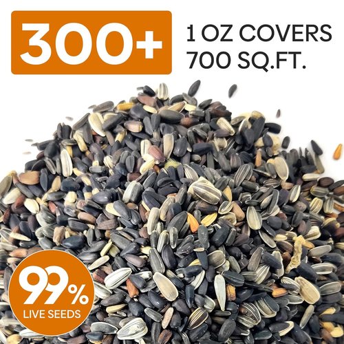 Groundio Sunflower Seeds - 15+ Varieties for Planting | 1 Oz Pack of 300+ Colorful Seeds for Garden