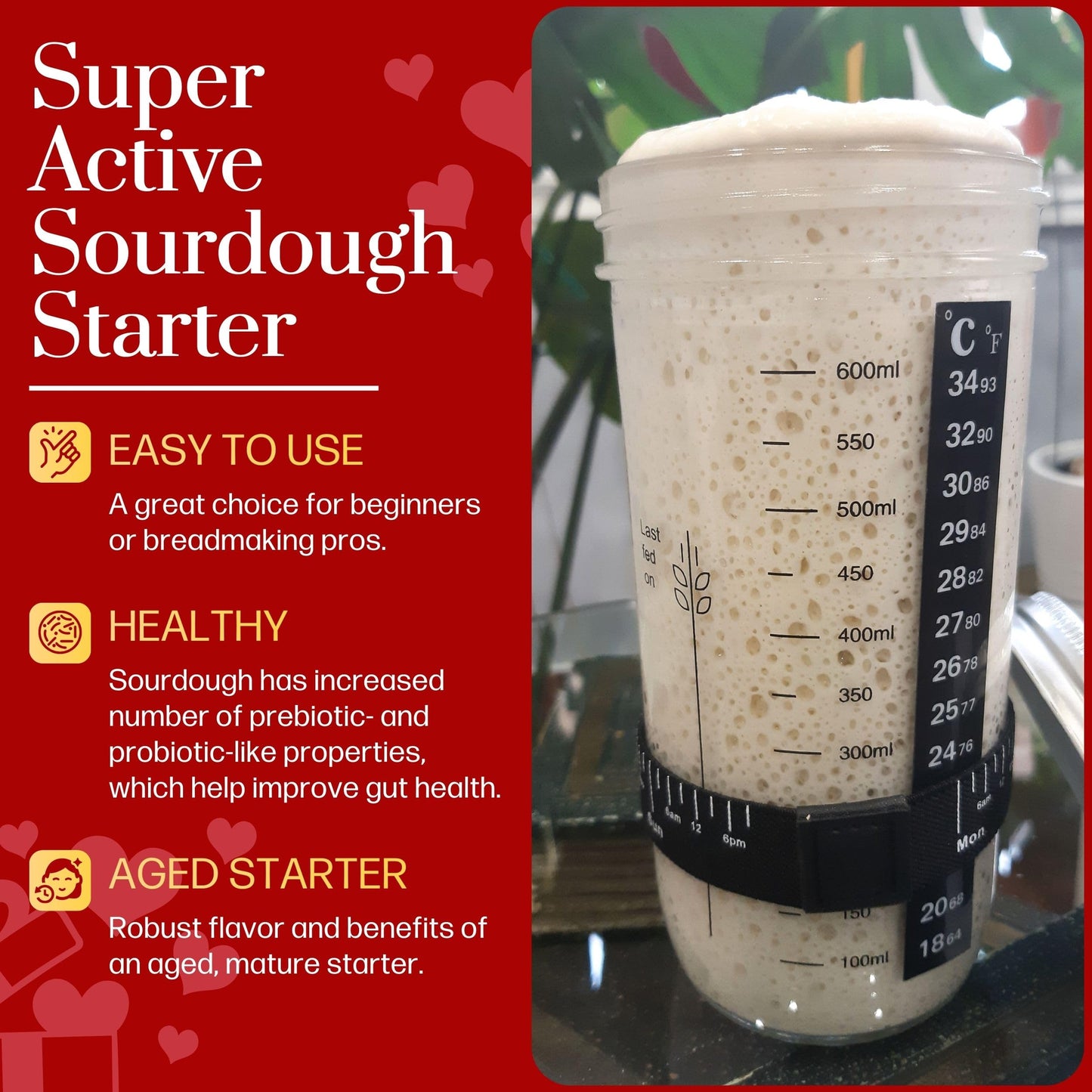 San Francisco Sourdough Starter Culture- 100+ Year Old Dehydrated Heirloom Style Sourdough Starter Kit for Sourdough Bread, Pizza, Buns, Pancakes, Muffins | Easy to follow instructions. By Captain Sourpants